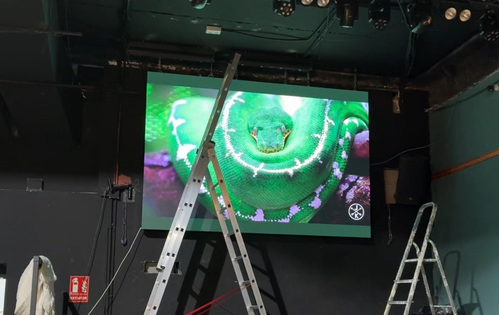 ¡Tempo Shop en la inauguración de Mansión Le Cabaret! 🎉✨ - Tempo Shop