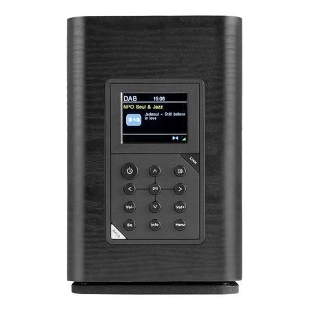 Audizio ARCO Altavoz de torre activa con DAB negro - Altavoz de suelo amplificado con radio digital, Bluetooth y pantalla de
