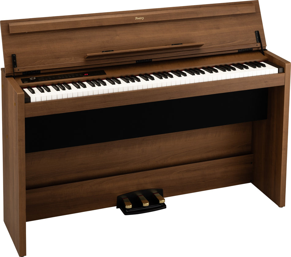 KORG Poetry Magnifique - Piano Digital con Sonidos Históricos y Teclado RH3