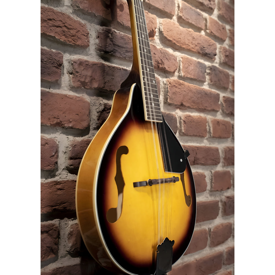 OQAN QMAN-10 SB SUNBURST