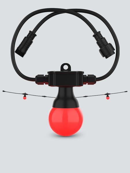 CHAUVET DJ Festoon 2 RGB EXT - Extensión de guirnalda RGB de 15 m