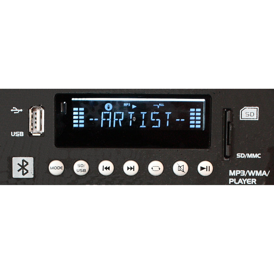 SISTEMA PORTATIL AUTONOMO CON USB/VOX/BLUETOOTH Y 2 MICROS UHF