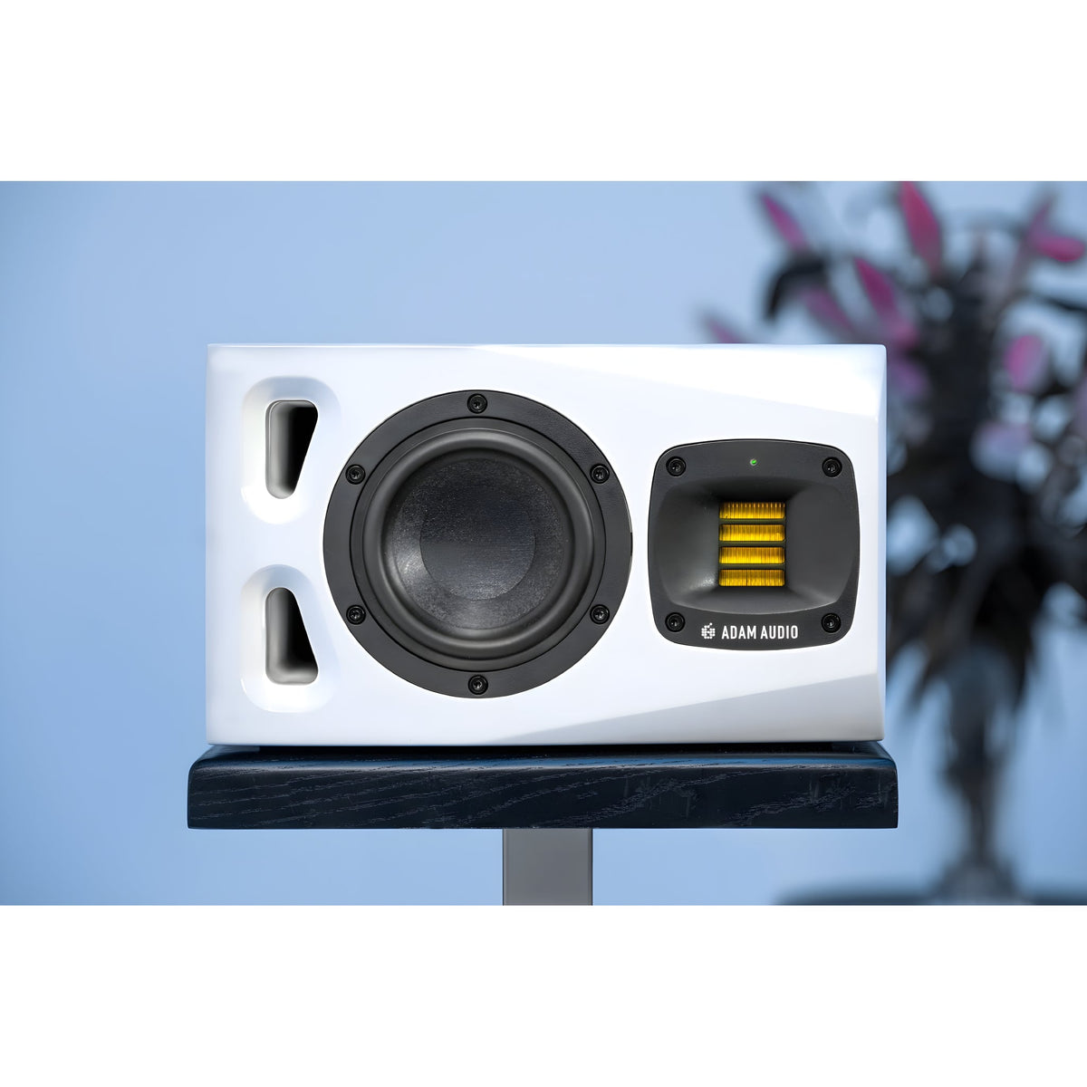 ADAM Audio A4V LIMITED EDITION WHITE - Monitor de estudio activo de 4" - Tempo Shop