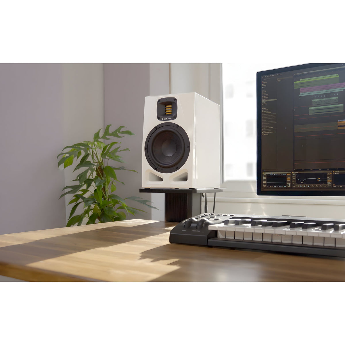 ADAM Audio A7V LIMITED EDITION WHITE - Monitor de estudio activo de 7" - Tempo Shop