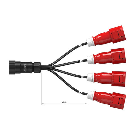 Audibax A-SCP-M-4CEE4P-F-25 - Cable Adaptador Socapex a 4 CEE
