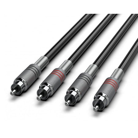 Audibax Silver 10101691 - Cable 2 RCA a 2 RCA Stereo 6m Negro - Tempo Shop