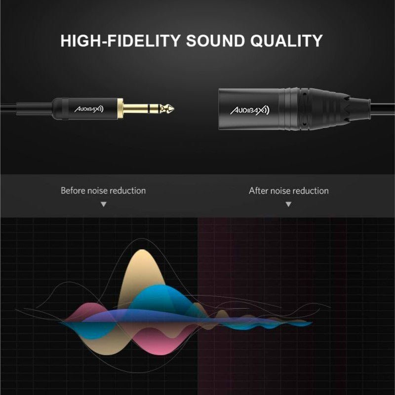 Audibax Evolution 10154421 - Cable XLR Macho a Jack Balanceado 6m Negro - Tempo Shop