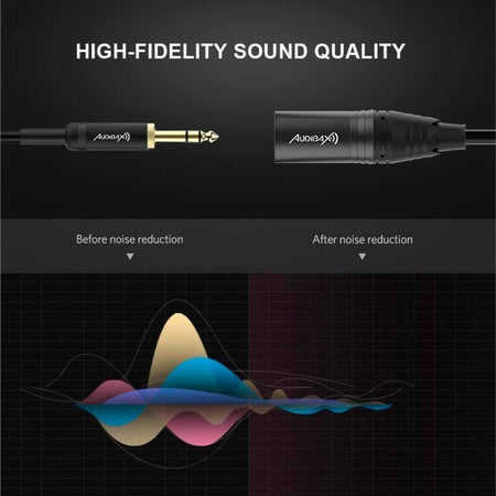 Audibax Evolution 10154421 - Cable XLR Macho a Jack Balanceado 6m Negro - Tempo Shop