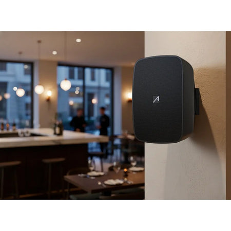 Audibax Ovo 4 G2 Negro Pareja de Altavoces Pasivos Pared 4 Pulgadas 100v / 8 ohm - Sonido profesional con certificación IP65