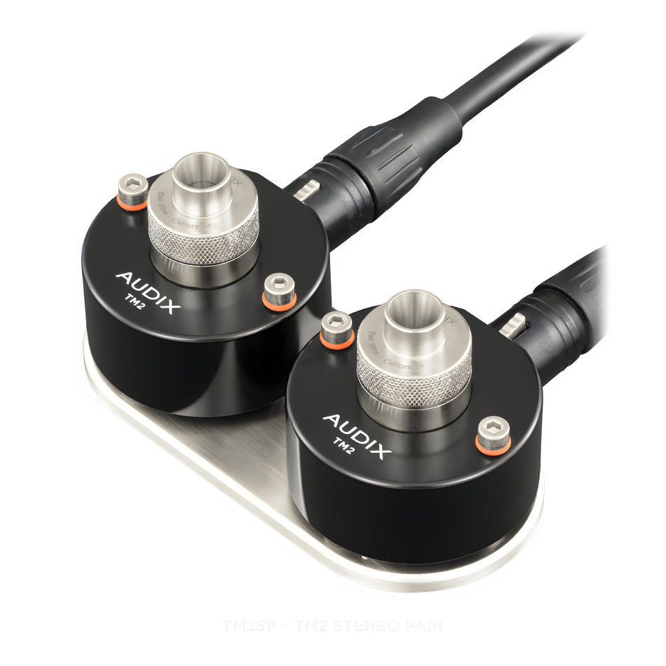 Audix TM2SP - Par estéreo TM2 con base de montaje - Tempo Shop