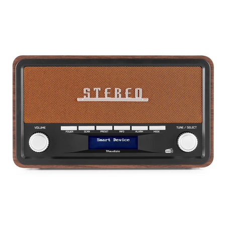 Audizio Foggia - Radio Retro DAB+ Cobre - Tempo Shop