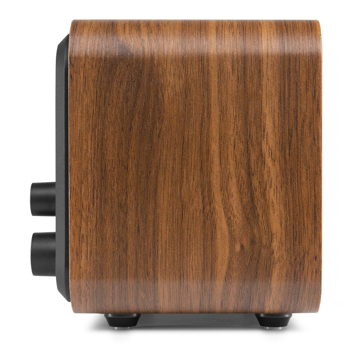 Audizio Vicenza - WIFI Radio Internet con DAB+ y batería Wood - Tempo Shop