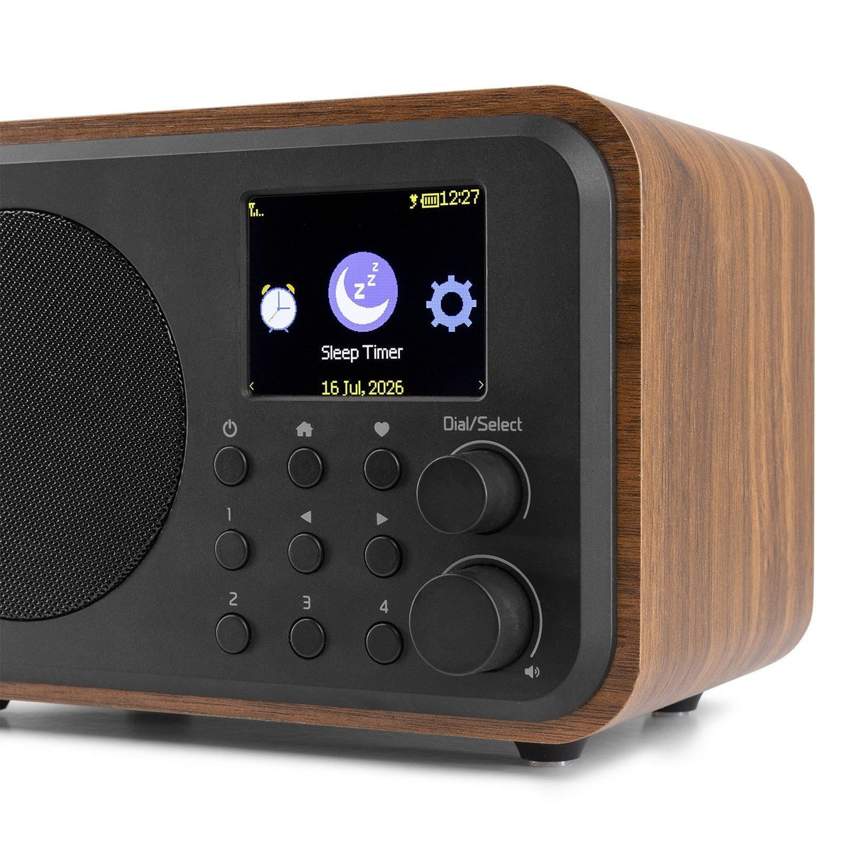 Audizio Vicenza - WIFI Radio Internet con DAB+ y batería Wood - Tempo Shop