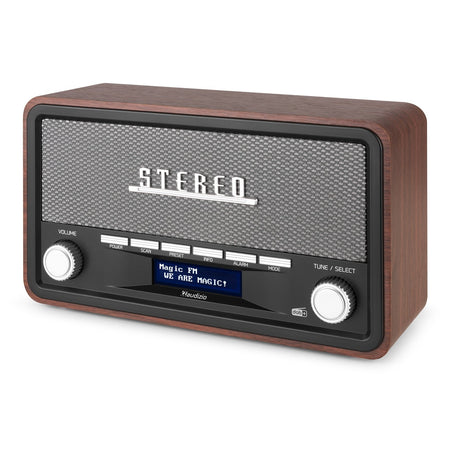 Audizio Foggia - Radio Retro DAB+ Gris - Tempo Shop