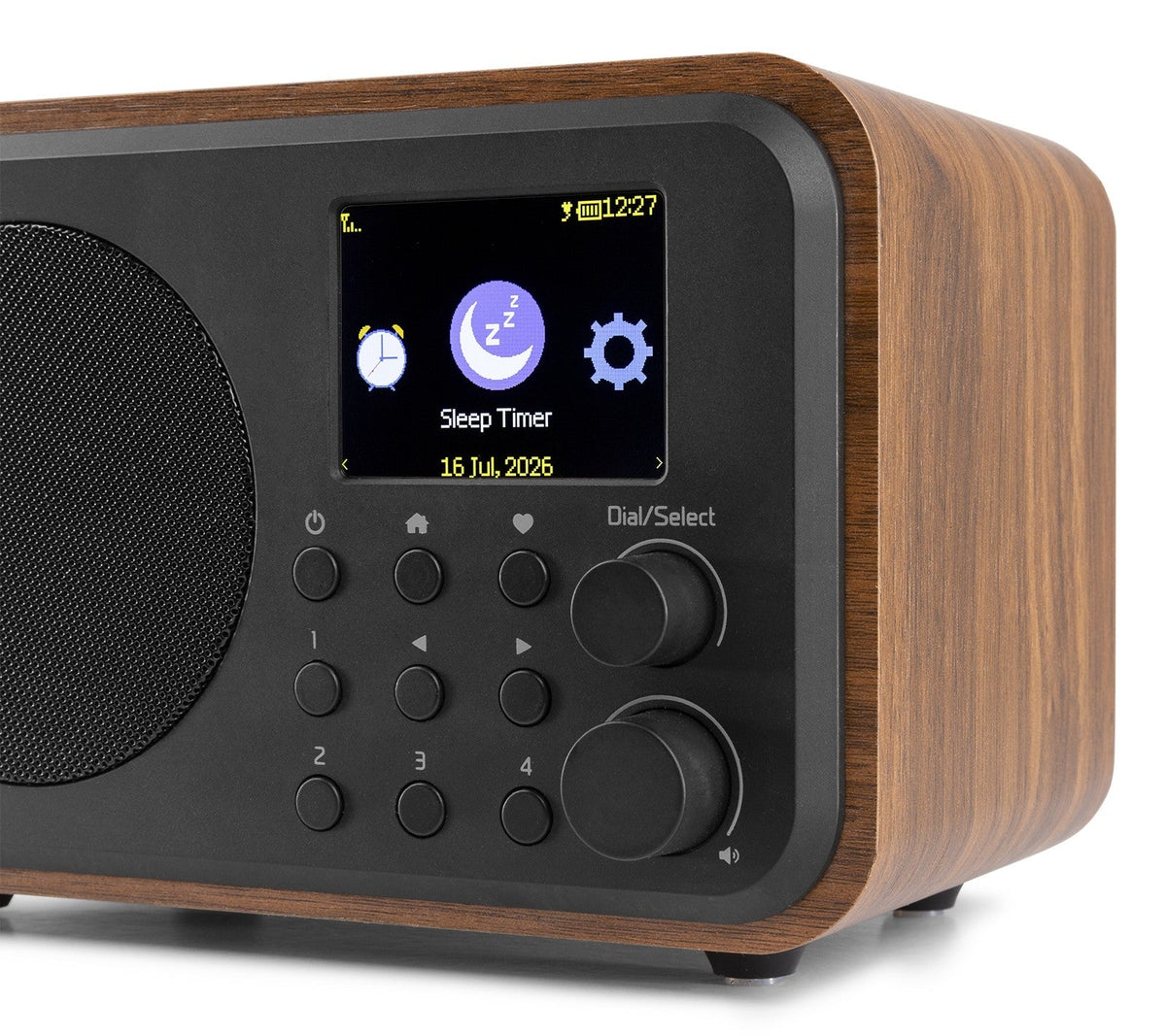 Audizio Vicenza - WIFI Radio Internet con DAB+ y batería Wood - Tempo Shop