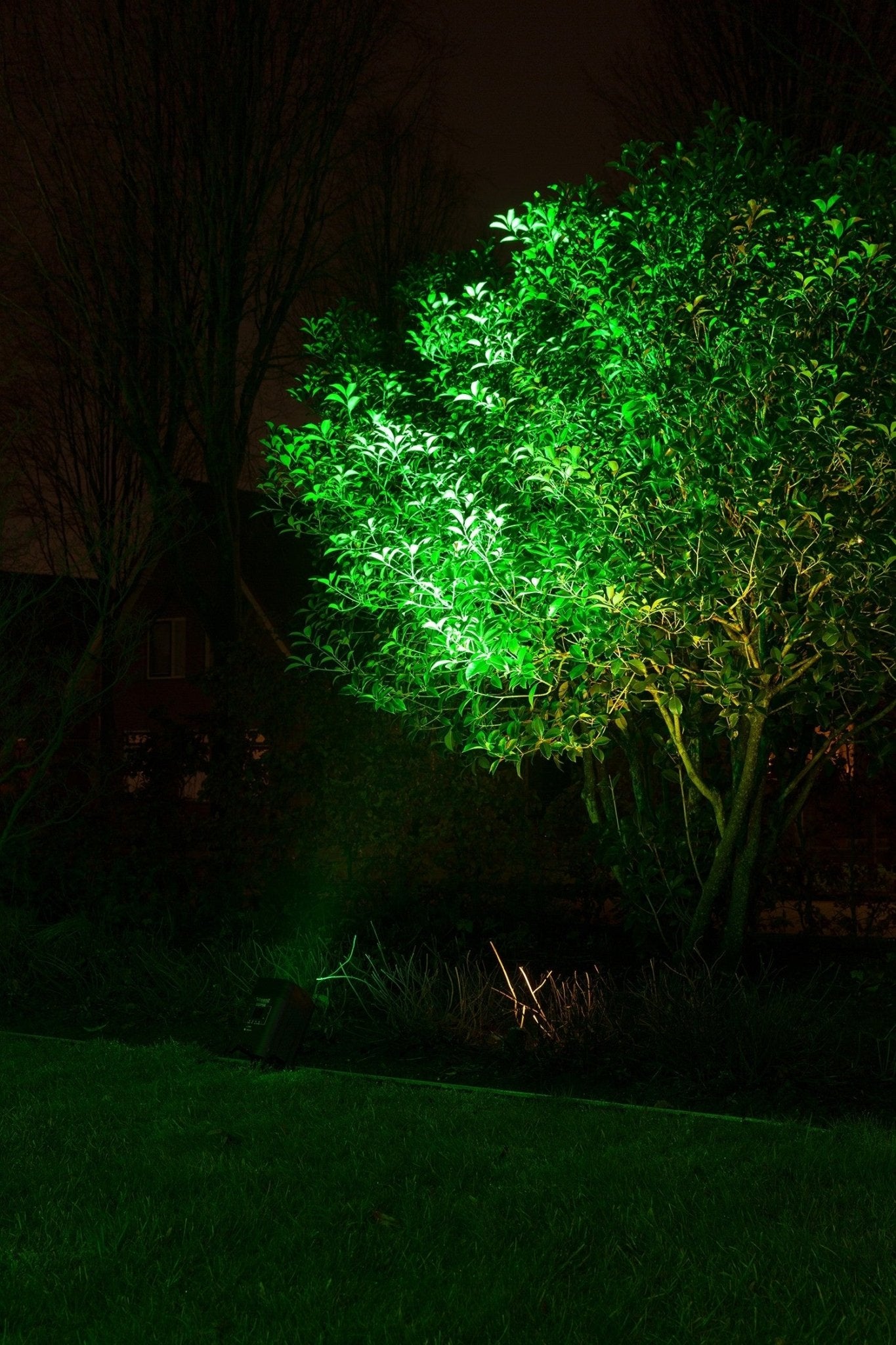 beamZ BBP96 - Foco Par con bateria 6x 12W - Tempo Shop