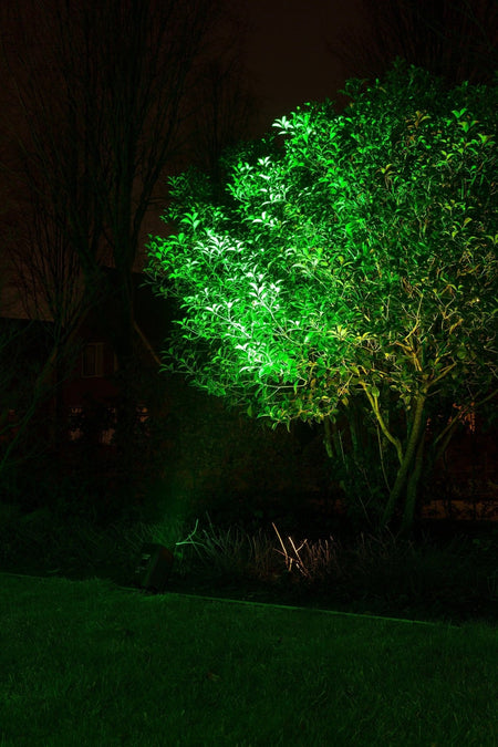 beamZ BBP96 - Foco Par con bateria 6x 12W - Tempo Shop