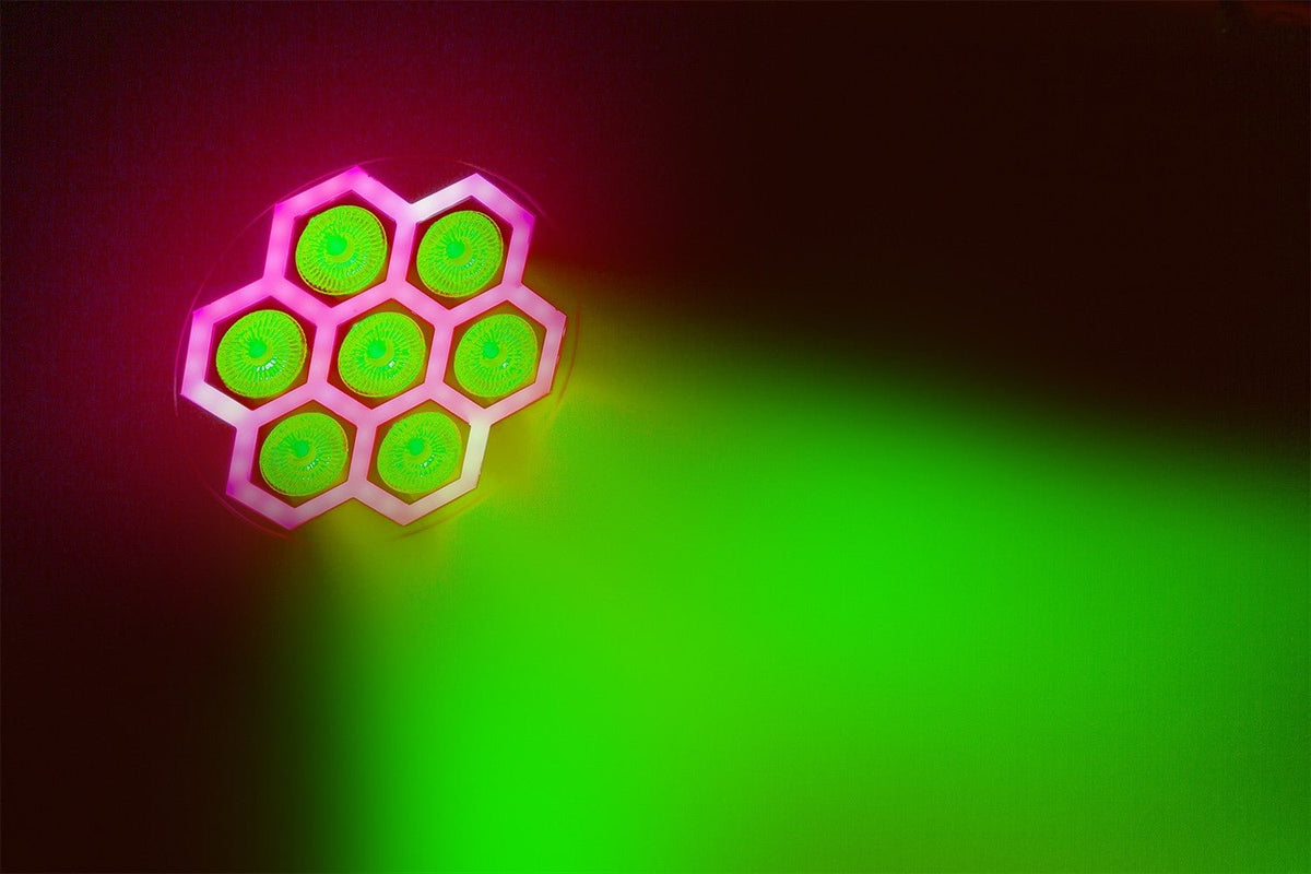 beamZ BT420 - Foco Par Ligero 7x 10W + efecto Combi SMD - Tempo Shop