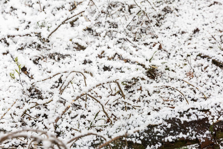 beamZ Pro SNOW5000 - Maquina de nieve de alto volumen - Tempo Shop