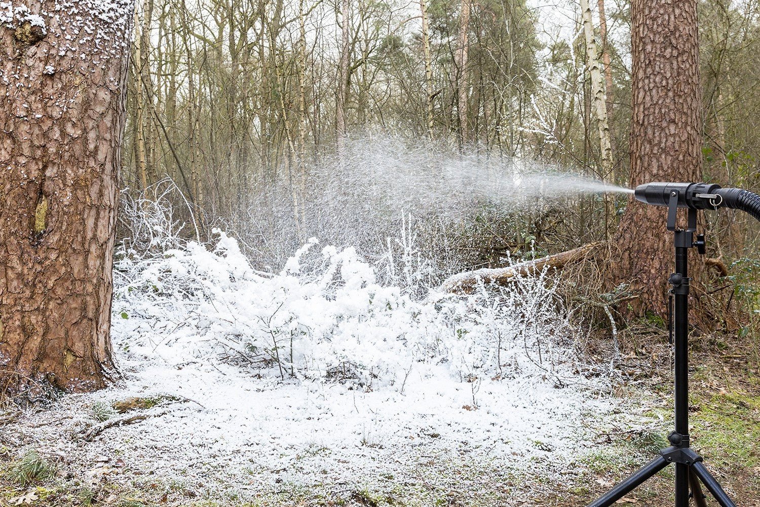 beamZ Pro SNOW5000 - Maquina de nieve de alto volumen - Tempo Shop