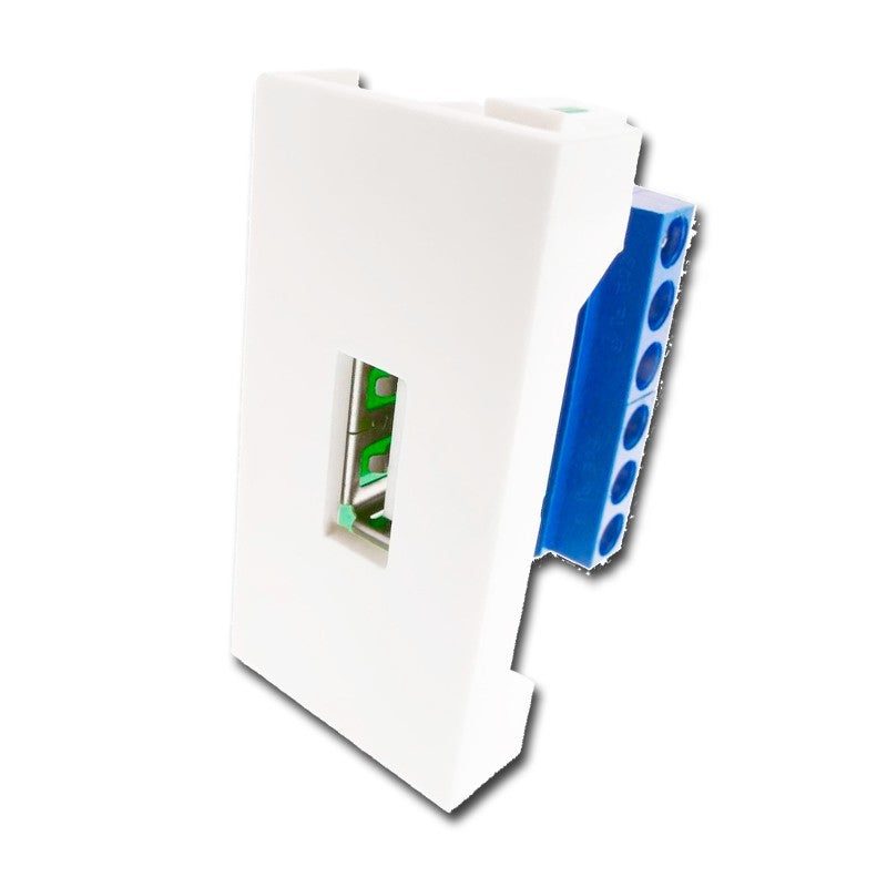 FactorRACK Panel USB 2.0 Hembra Tipo A - Módulo 45x22.5mm para Cajas con Carril