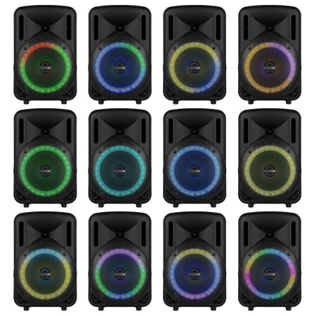 Fenton FT08LED MK2 - Altavoz Activo Portátil de 8" y 300W con Bluetooth y Micrófono Inalámbrico - Tempo Shop