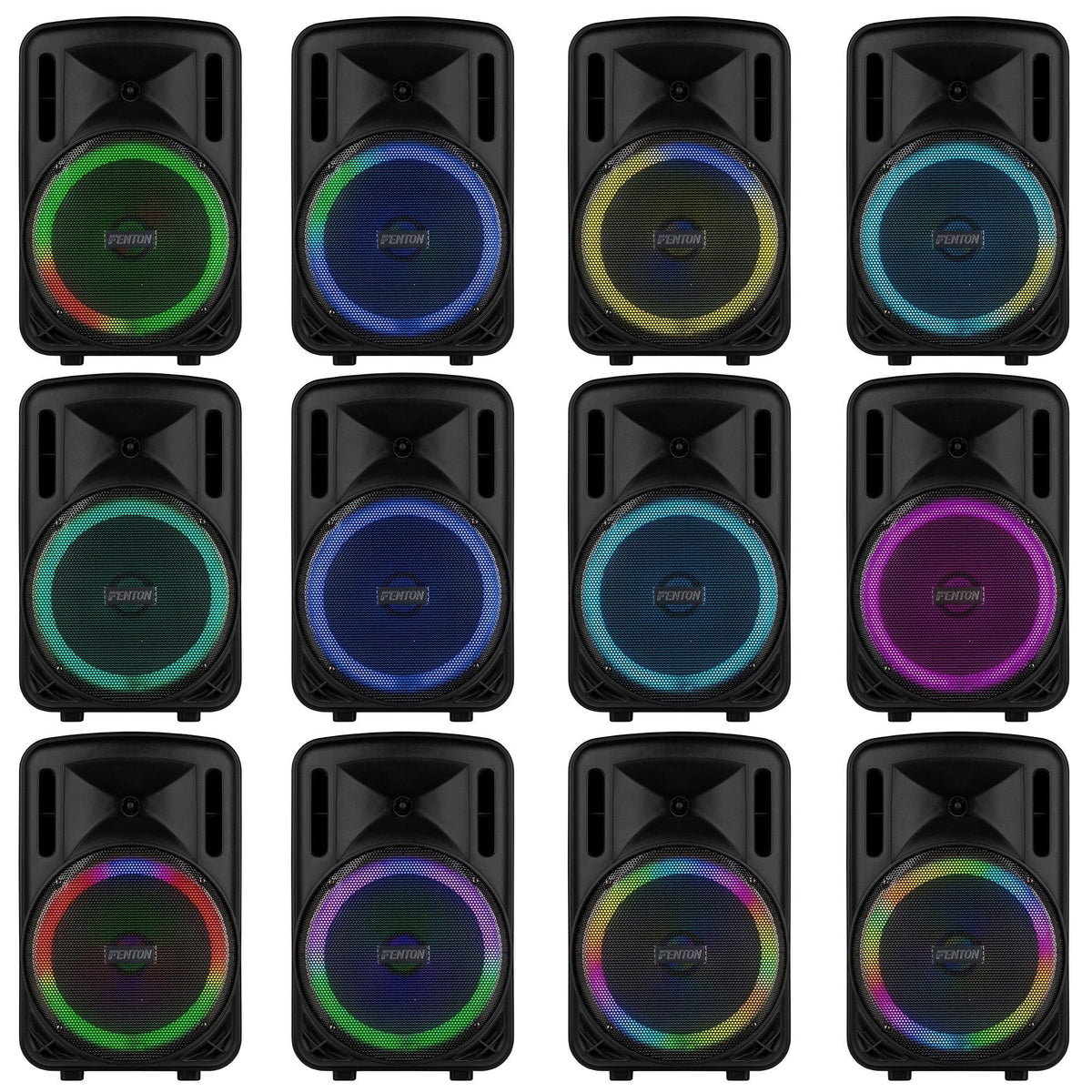 Fenton FT12LED MK2 - Altavoz Activo Portátil de 12" y 700W con Bluetooth y Micrófono Inalámbrico - Tempo Shop