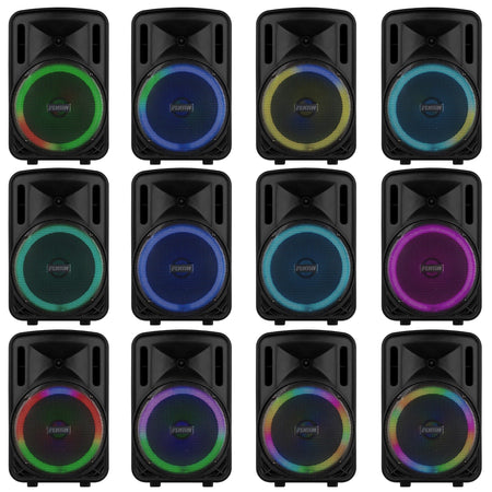 Fenton FT12LED MK2 - Altavoz Activo Portátil de 12" y 700W con Bluetooth y Micrófono Inalámbrico - Tempo Shop