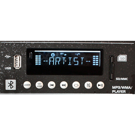 Ibiza Light & Sound PORT15UHF-BT – Sistema portátil autónomo con Bluetooth, USB, VOX, TWS y 2 micros UHF - Tempo Shop