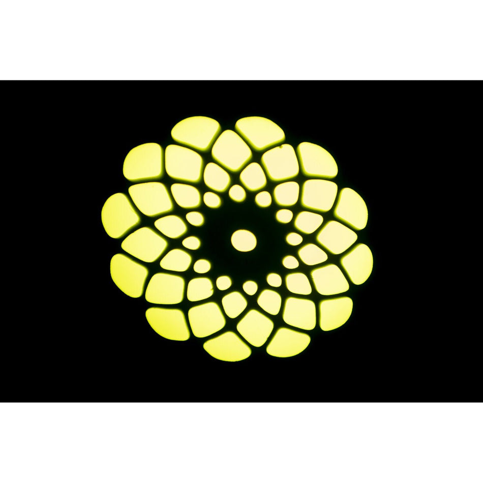 Ibiza Light & Sound STAR-WASH-BL – Cabeza móvil Wash con Spot 30 W, Gobos y Anillo luminoso (Carcasa negra) - Tempo Shop