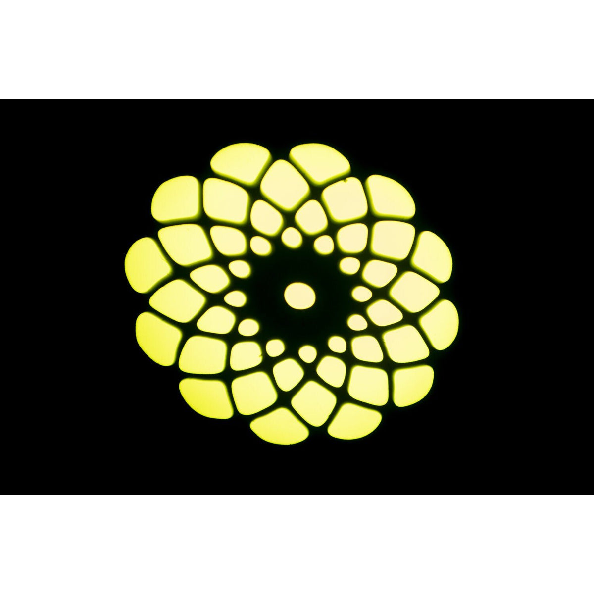Ibiza Light & Sound STAR-WASH-WH – Cabeza móvil Wash con Spot 30 W, Gobos y Anillo luminoso - Tempo Shop