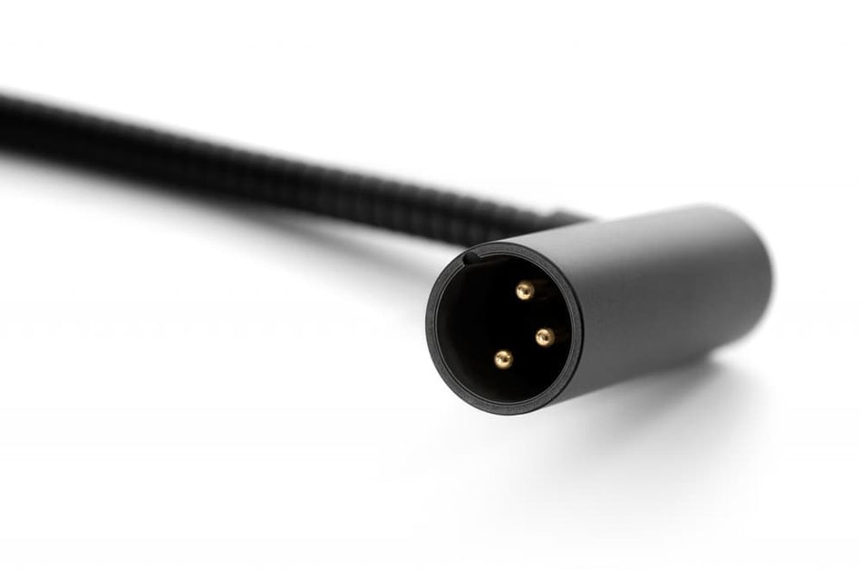 IK Multimedia iRig Keys I/O Mic - Micrófono de cuello de ganso cardioide para iRig Keys I/O