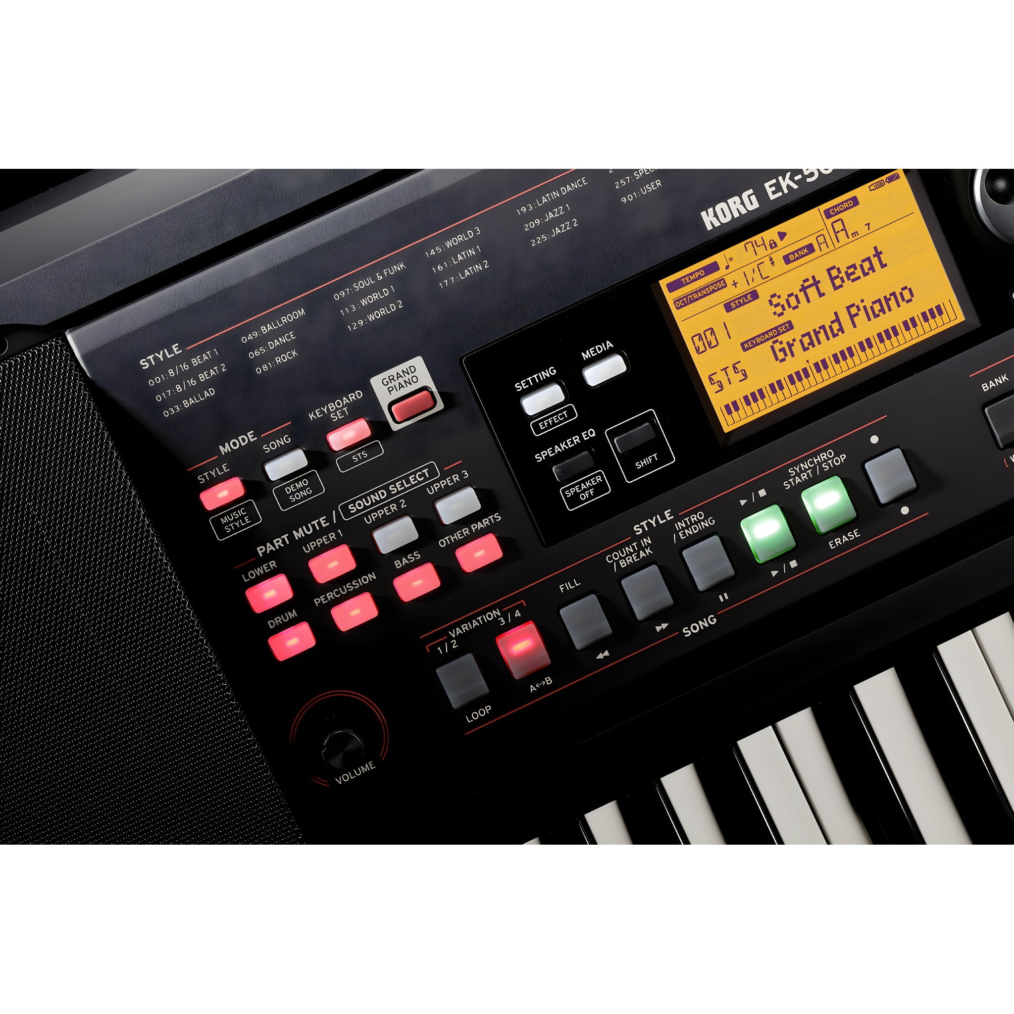 KORG EK - 50 L - Teclado de tecla completa portátil - Tempo Shop