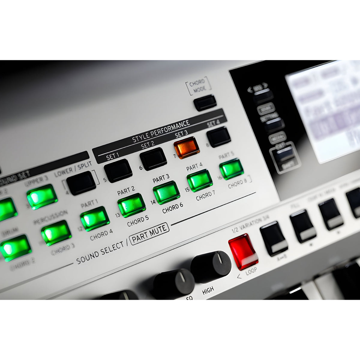 KORG I3 MS - Teclado de acompañamiento sin altavoces - Tempo Shop