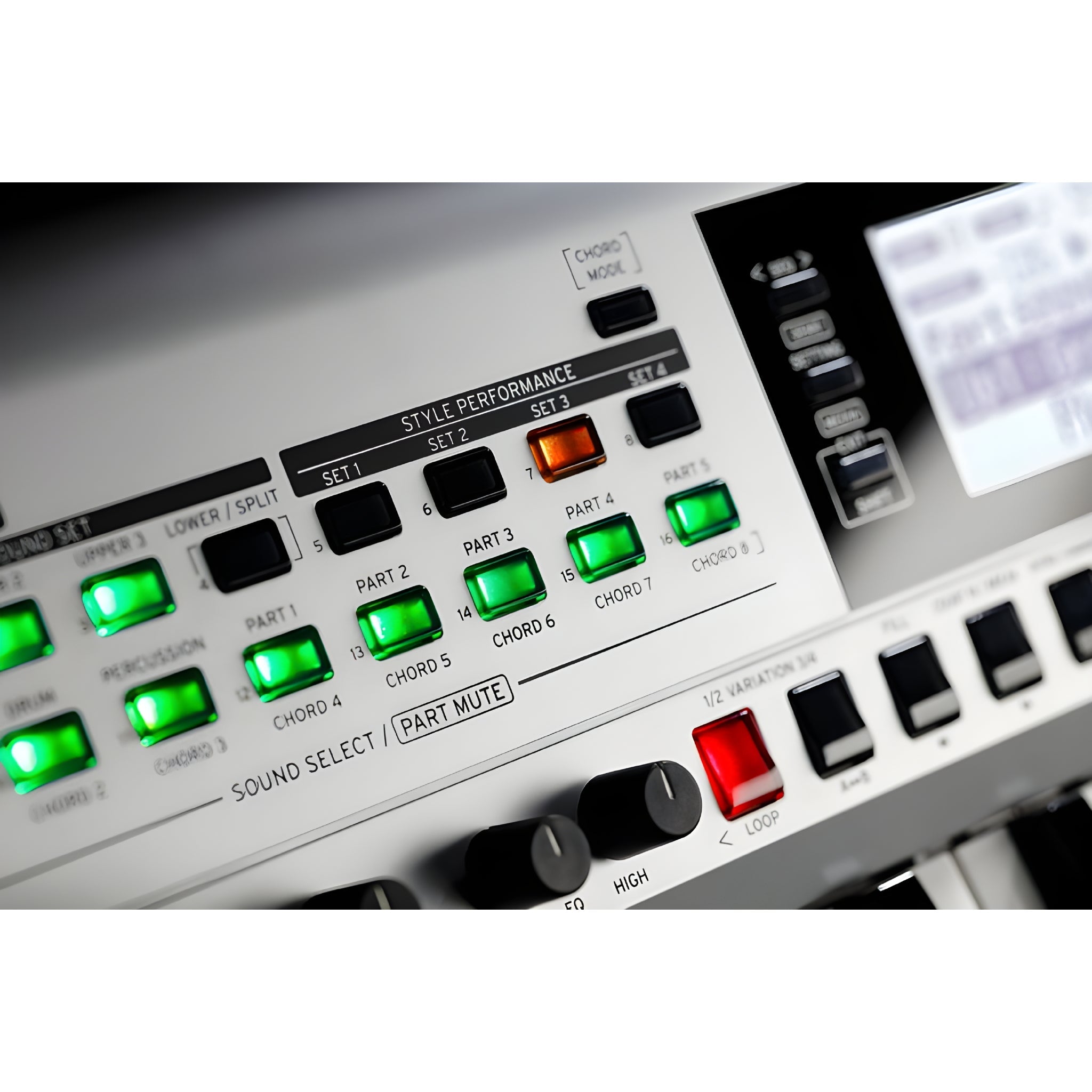 KORG I3 MS - Teclado de acompañamiento sin altavoces - Tempo Shop