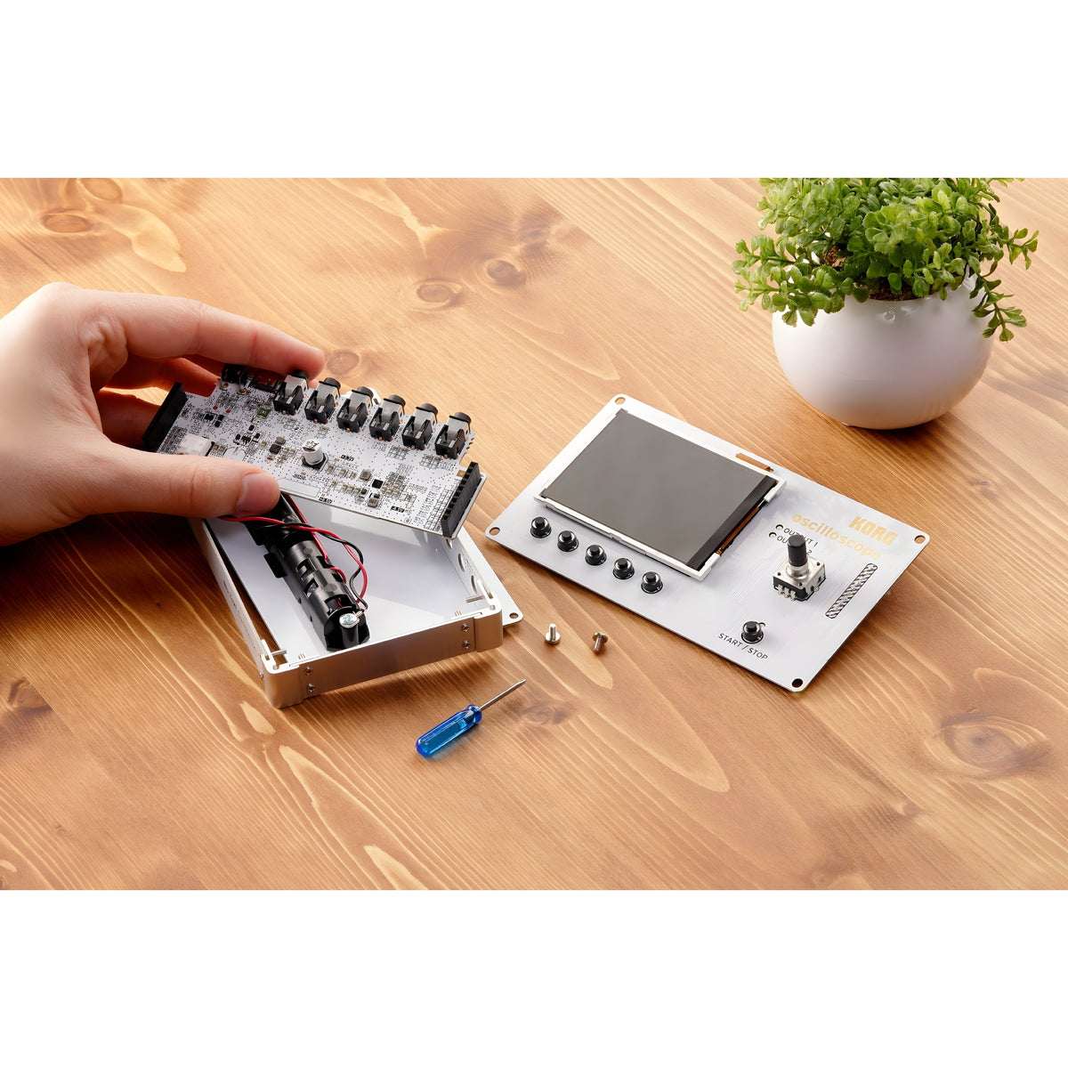 KORG NTS - 2 - Módulo sintetizador - Tempo Shop