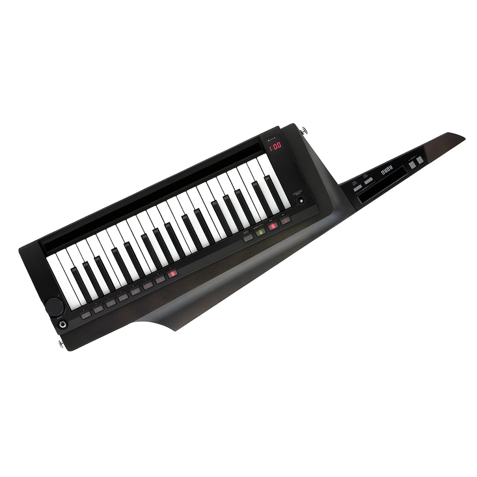 KORG RK - 100S 2 BK - Teclado sintetizador profesional - Tempo Shop