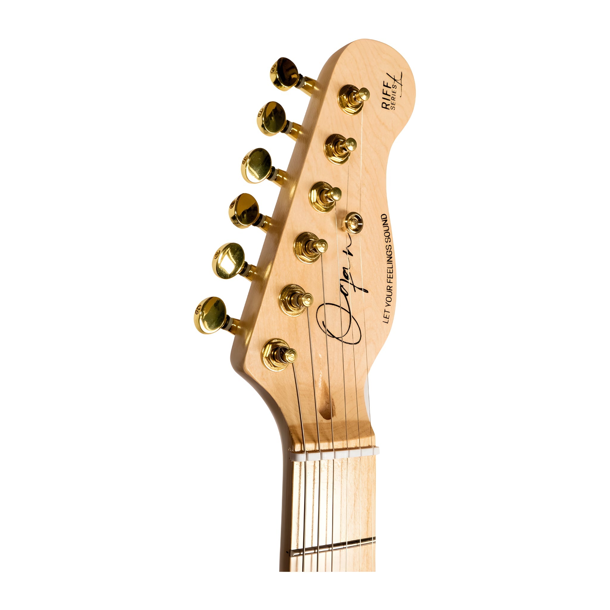 OQAN QGE - RTC5 - BLACK HLW - Guitarra eléctrica tipo Tele - Tempo Shop