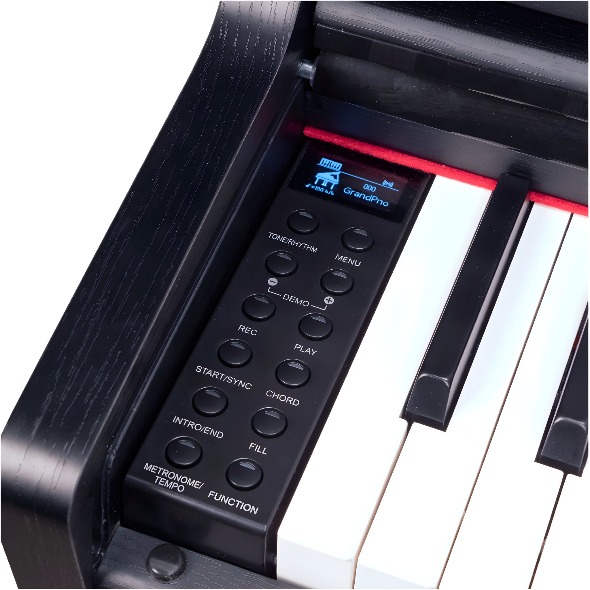 OQAN QP88S - Piano digital de mueble con 88 teclas contrapesadas - Tempo Shop