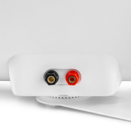 Power Dynamics BF80TW - Altavoz In/Outdoor 8" IPX5 Blanco 100V - Tempo Shop