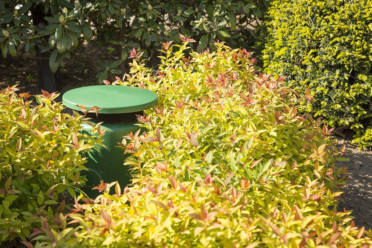 Power Dynamics GS530 - Altavoz de jardín IPX5 30W 100V 5,25" - Tempo Shop