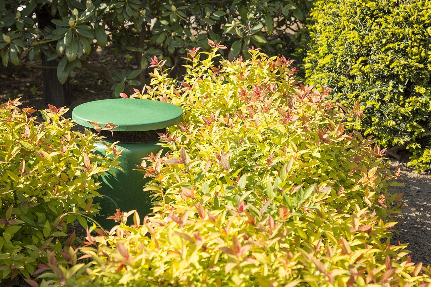 Power Dynamics GS530 - Altavoz de jardín IPX5 30W 100V 5,25" - Tempo Shop