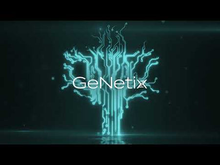 ChamSys GeNetix GD4IP - Splitter DMX de 4 salidas IP65