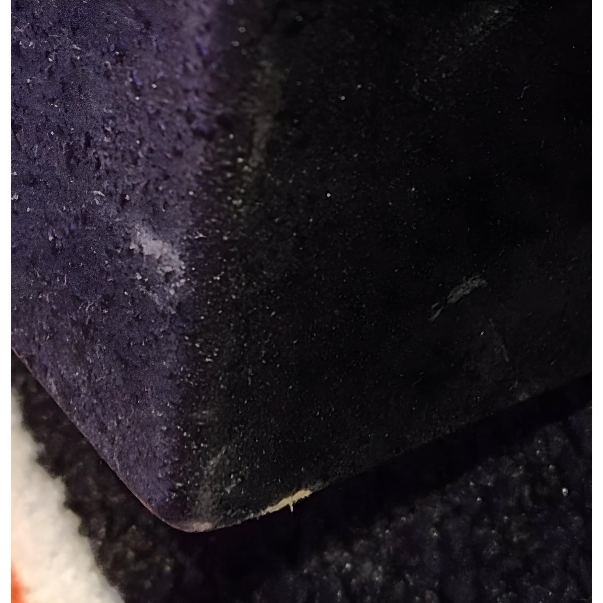 Samson RSXM12A ACTIVE WEDGE MONITOR - Monitor de escenario auto - amplificado de 12' + 1' - Tempo Shop