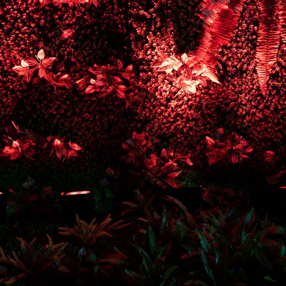 SHEHDS RCBaP0618F - Foco PAR LED a Batería 6×18W RGBAW+UV con Control Inalámbrico y WiFi - Tempo Shop