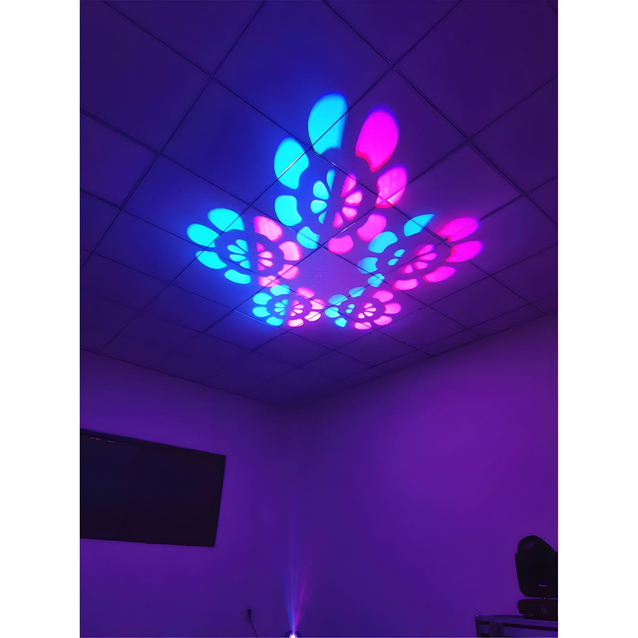 TEMPO PACK 2x Spot 150W + Flightcase - Tempo Shop