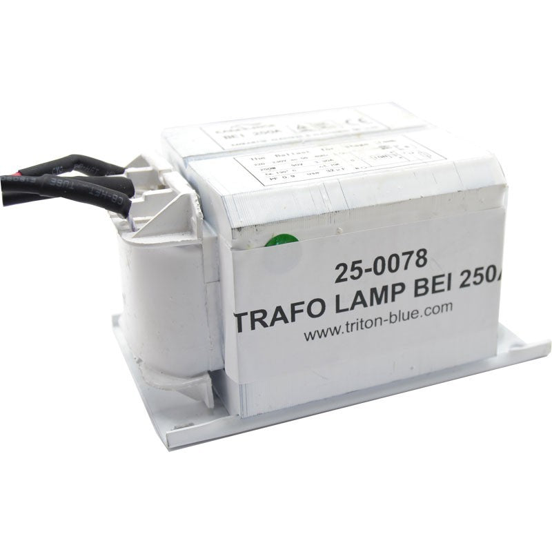 Eaglecrise BEI 250A - Balastro Magnético para Lámparas de 250W