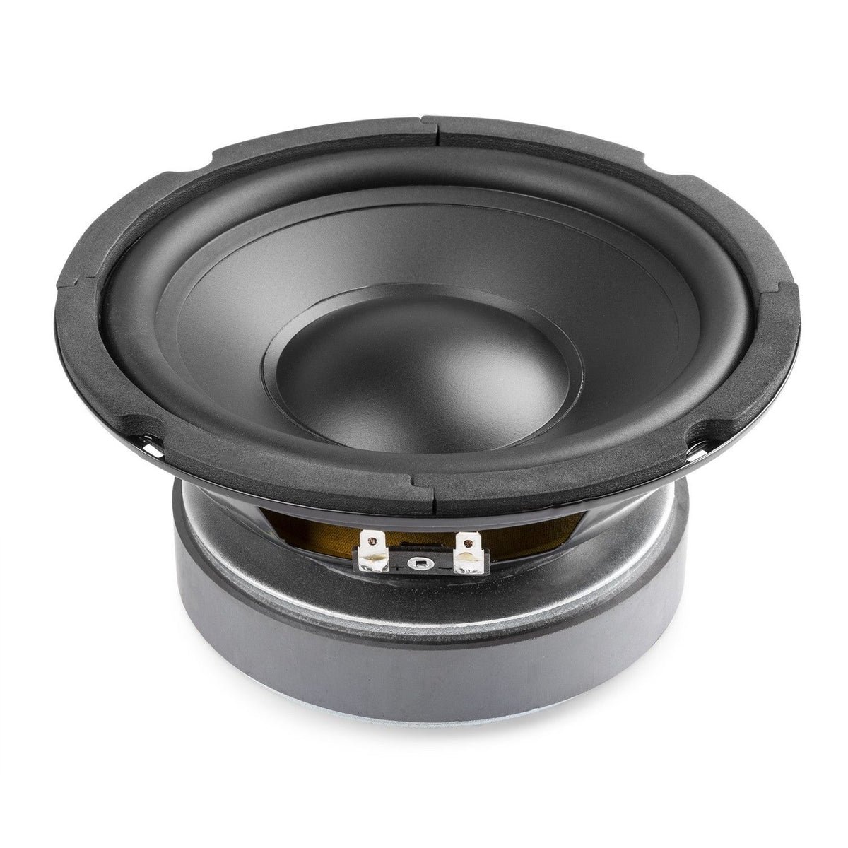Vonyx WPP16 - Woofer HI - FI, cono PP - 16cm (6.5), 85Wrms - Tempo Shop