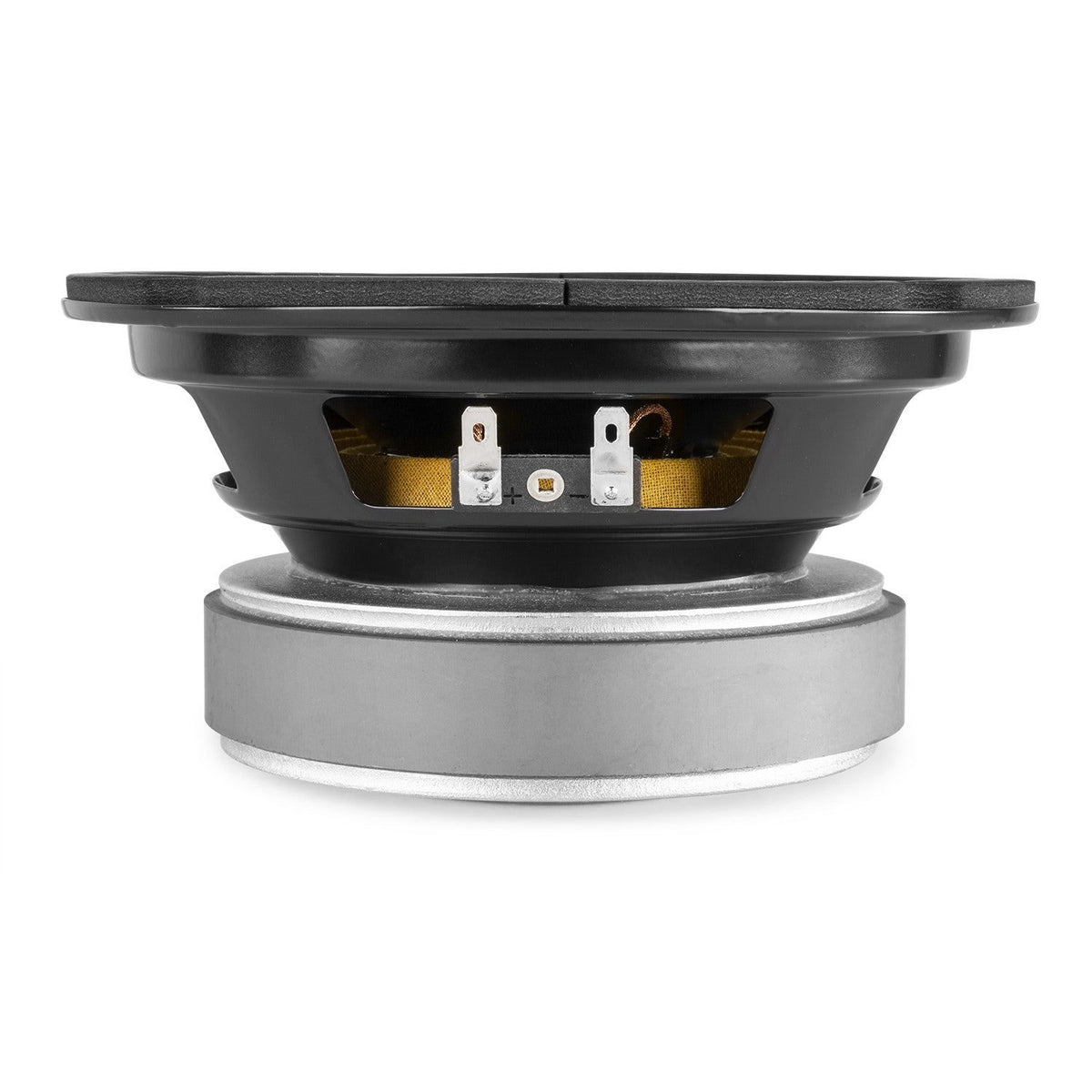Vonyx WPP16 - Woofer HI - FI, cono PP - 16cm (6.5), 85Wrms - Tempo Shop